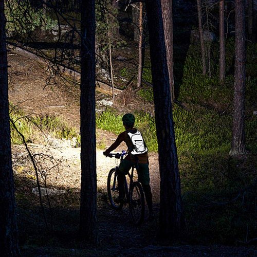 RUSUO Bike Pannier,8L High Visibility Reflective Cycling Hydration Backpack Outdoor Sports Running Hiking Backpack Travel Daypack Shoulder Bag