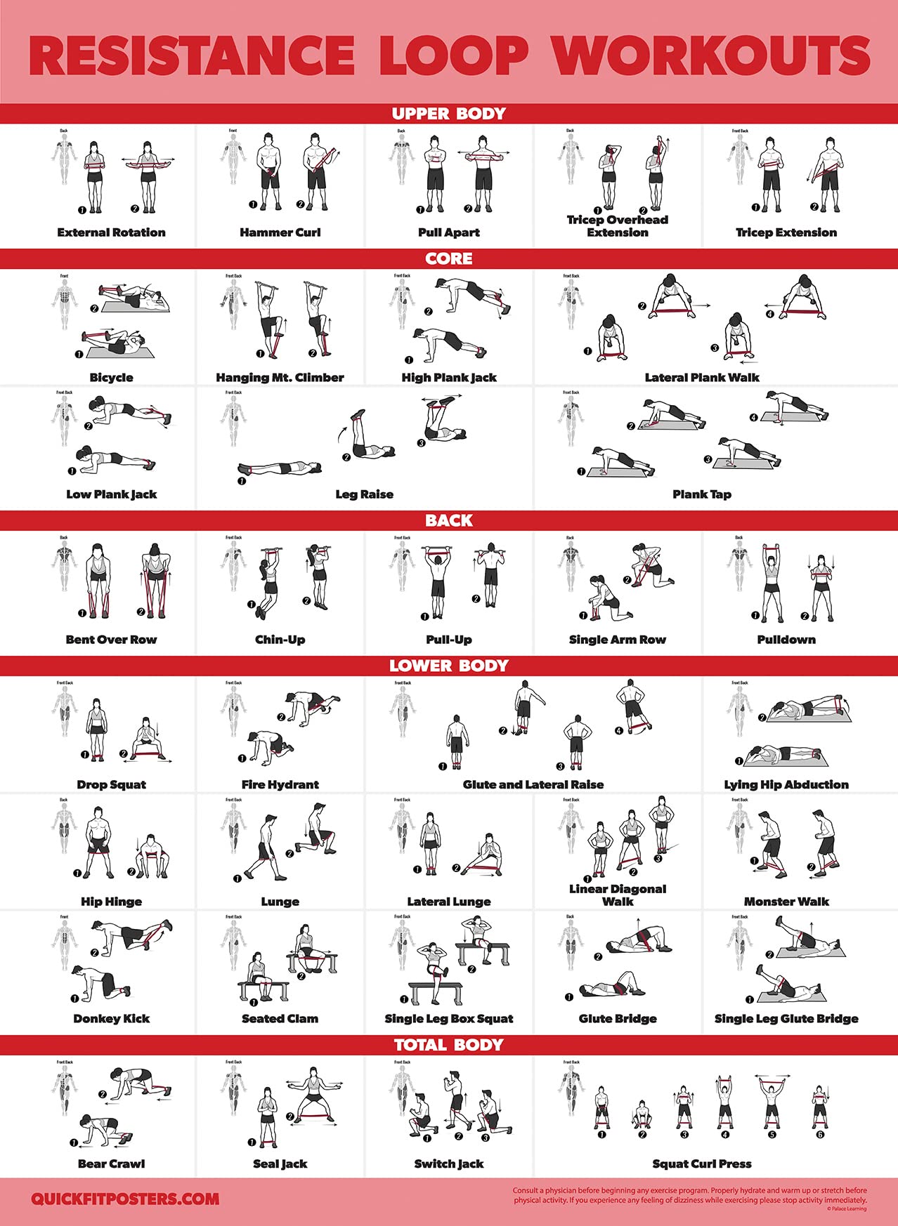 Palace Learning 2 Pack - Resistance Bands and Resistance Loops Workout Posters - Set of 2 Laminated Charts - Resistance Band Tubes and Loops Exercise Charts [Light] (18 x 24, LAMINATED)