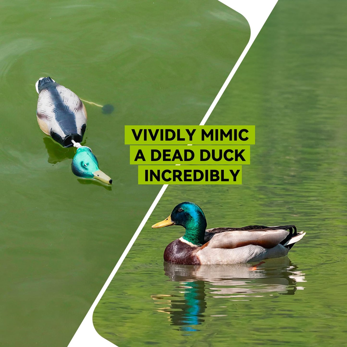 GearOZ Duck/Pheasant Dummy, Mimics Dead Duck/Pheasant Bumper for Gun Dog Training Scent Waterfowl Hunting Retriever, Outdoor Mallard Retrieval Interactive Train Toys, Floating & Durable