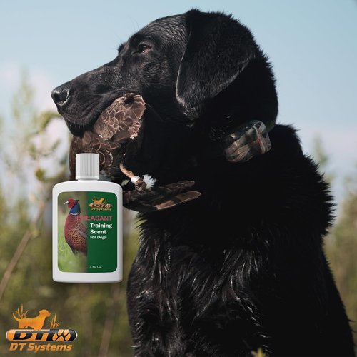 DT Systems Super Pro Series Training Scents, Natural Real Concentrated Hunting Retriever Dog Field Game Trailing Scent Training Aid for Puppies, Adult & Senior Dogs, 4 oz
