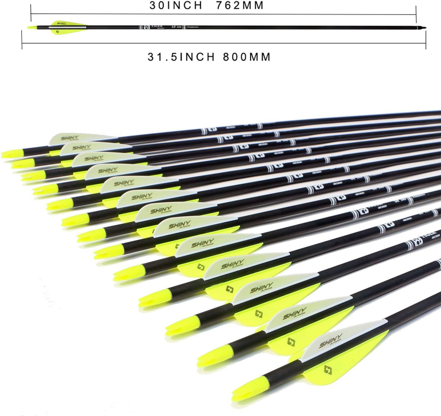 30Inch Carbon Arrow Practice Hunting Arrows with Removable Tips for Compound & Recurve Bow(Pack of 12)