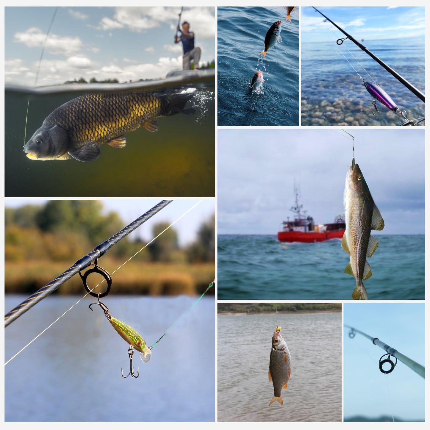 9KM DWLIFE Braided Fishing Line 8LB-100LB Dyneema Fishing Line, Zero Stretch & Anti-Bite Coating for Freshwater/Saltwater Fishing 4 Strands(164Yards-12lb)