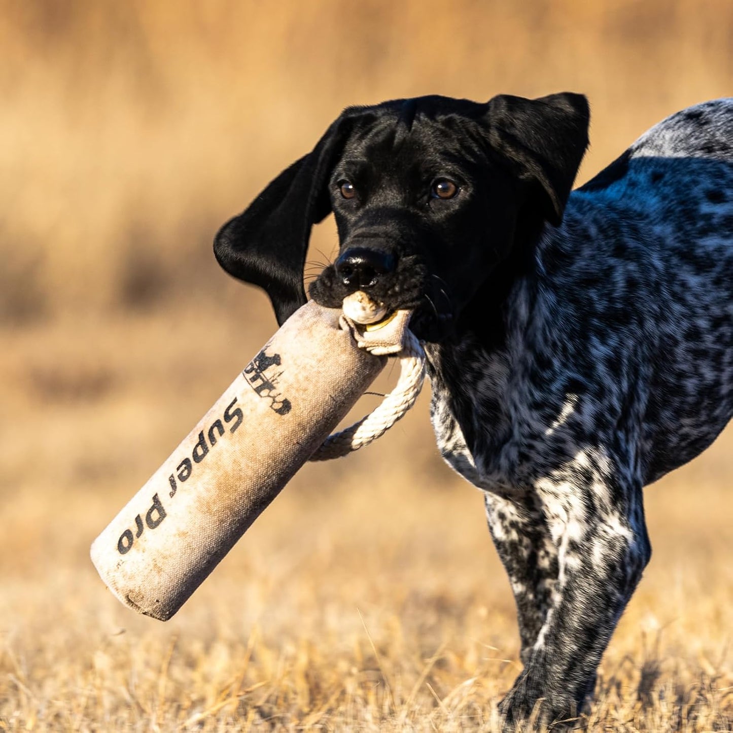 DT Systems Super Pro Series Durable Resistant Floating Upland Waterfowl Hunting Dog/Puppy Retrieval Fetching Training Dummy with Scent Strip & Tough Rope Handle