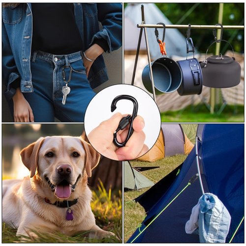 Dairzitv 10 Pack Carabiner Clip, 2.28 inch Aluminum D-Ring Shape Locking Carabiners, Snap Hook Sport Accessories for Outdoor Camping Hiking, Black