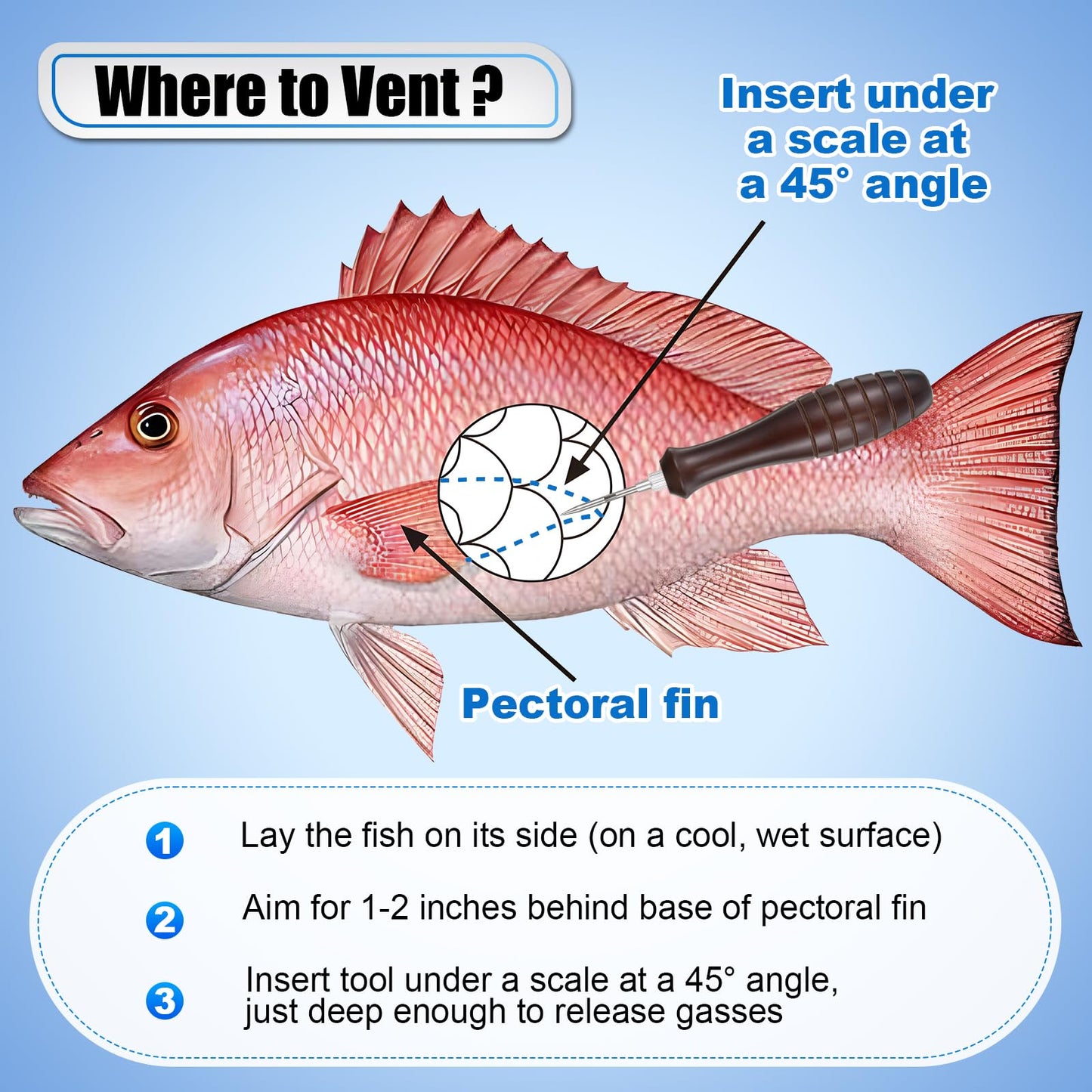 Feekoon Fish Venting Tool, Venting Kit for Deep Sea Fish with Hook Remover and Stainless Steel Needle, Fishing Tackle for Saltwater Fishing Release and Return(5 Pcs)