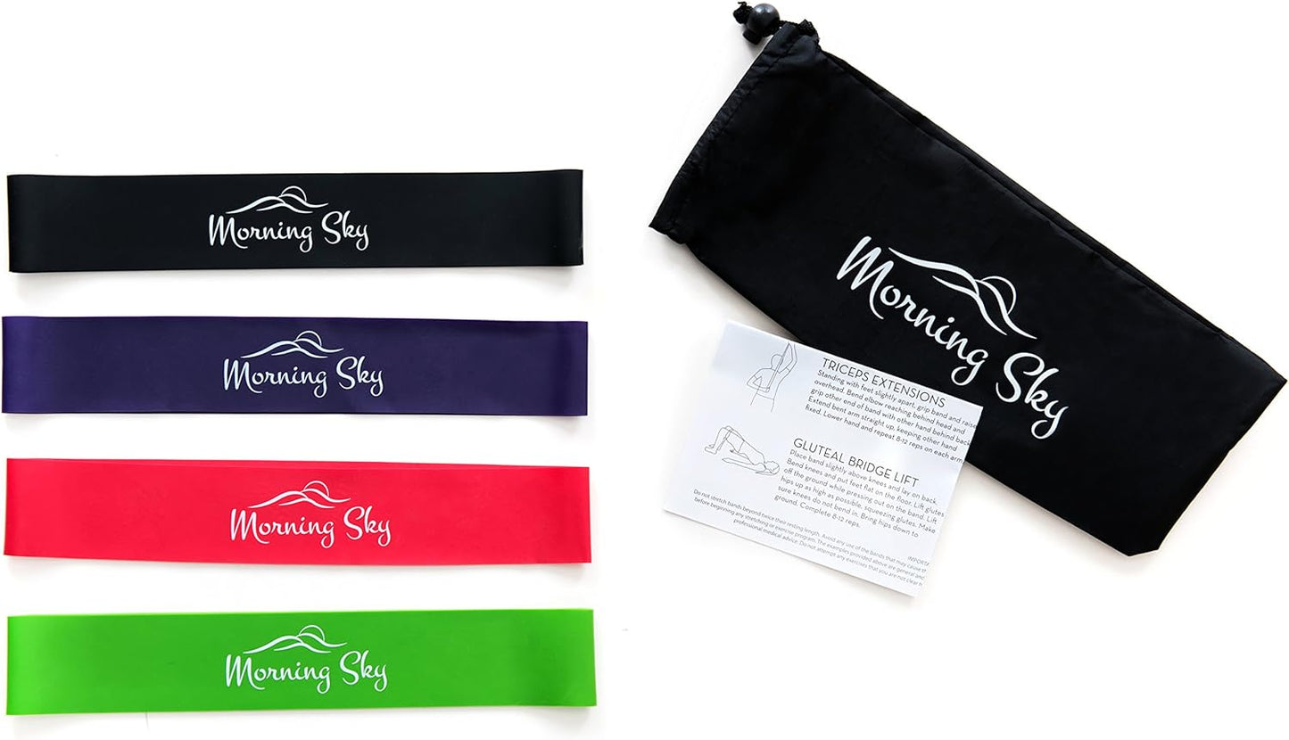 Physical Therapy Resistance Bands by Morning Sky - 12-inch Loop Bands with Instructional Guide and Carrying Bag, Best for Strengthening, Stretching, Yoga, Physical Therapy Rehab, Home Fitness