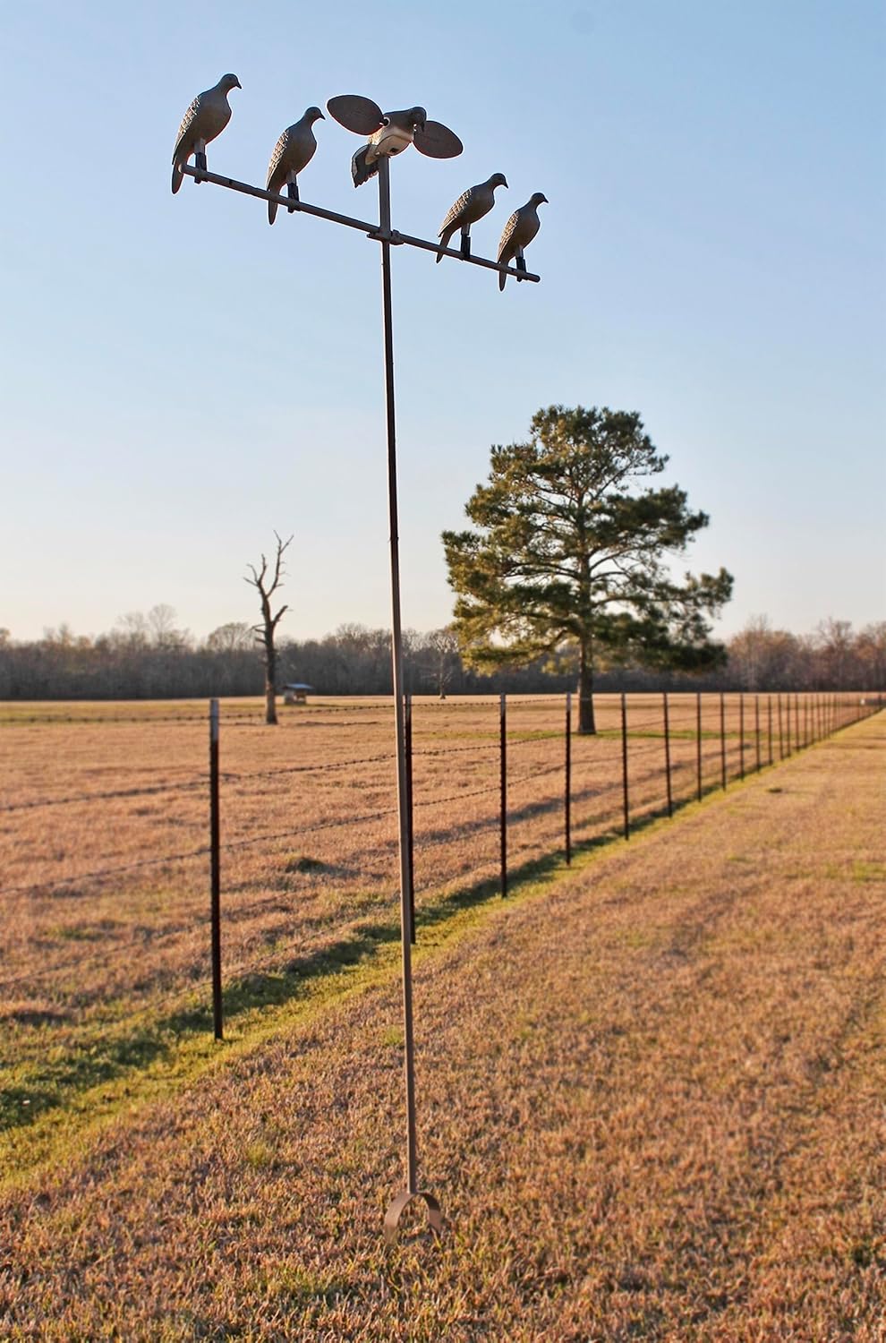 MOJO Outdoors Dove Hunting Decoys and Accessories – (Choose Style)