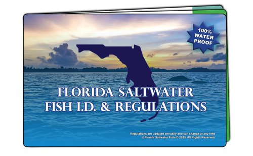 Florida Saltwater Fishing Guide. 100% Waterproof Fish Identification Book with 12 Pages, FWC Rules, Limits, and Seasonal Regulations, 70+ Fish and Shark Photos, Angler and Fisherman Chart