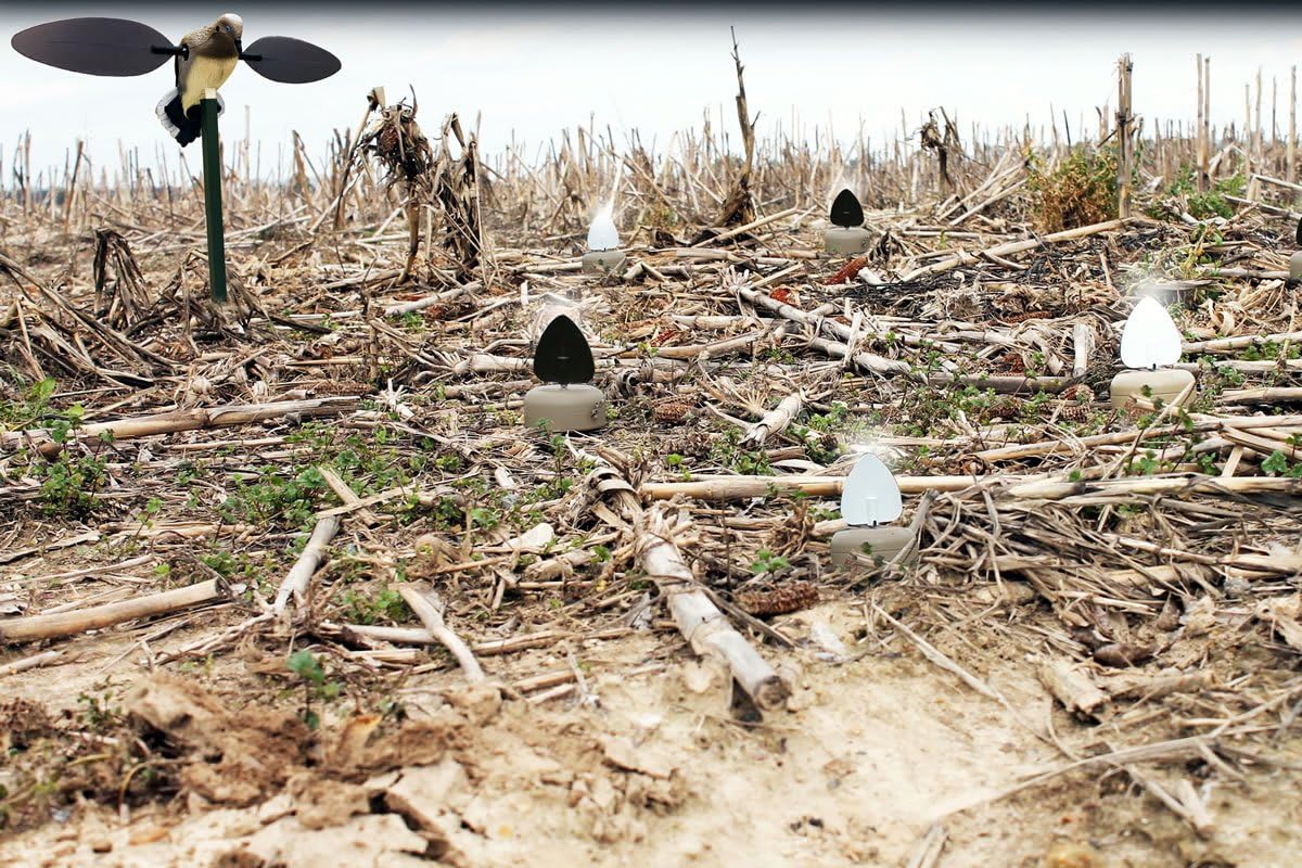 MOJO Outdoors Dove Hunting Decoys and Accessories – (Choose Style)