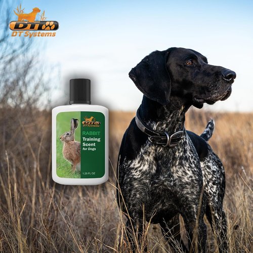 DT Systems Super Pro Series Training Scents, Natural Real Concentrated Hunting Retriever Dog Field Game Trailing Scent Training Aid for Puppies, Adult & Senior Dogs, 1.25 oz