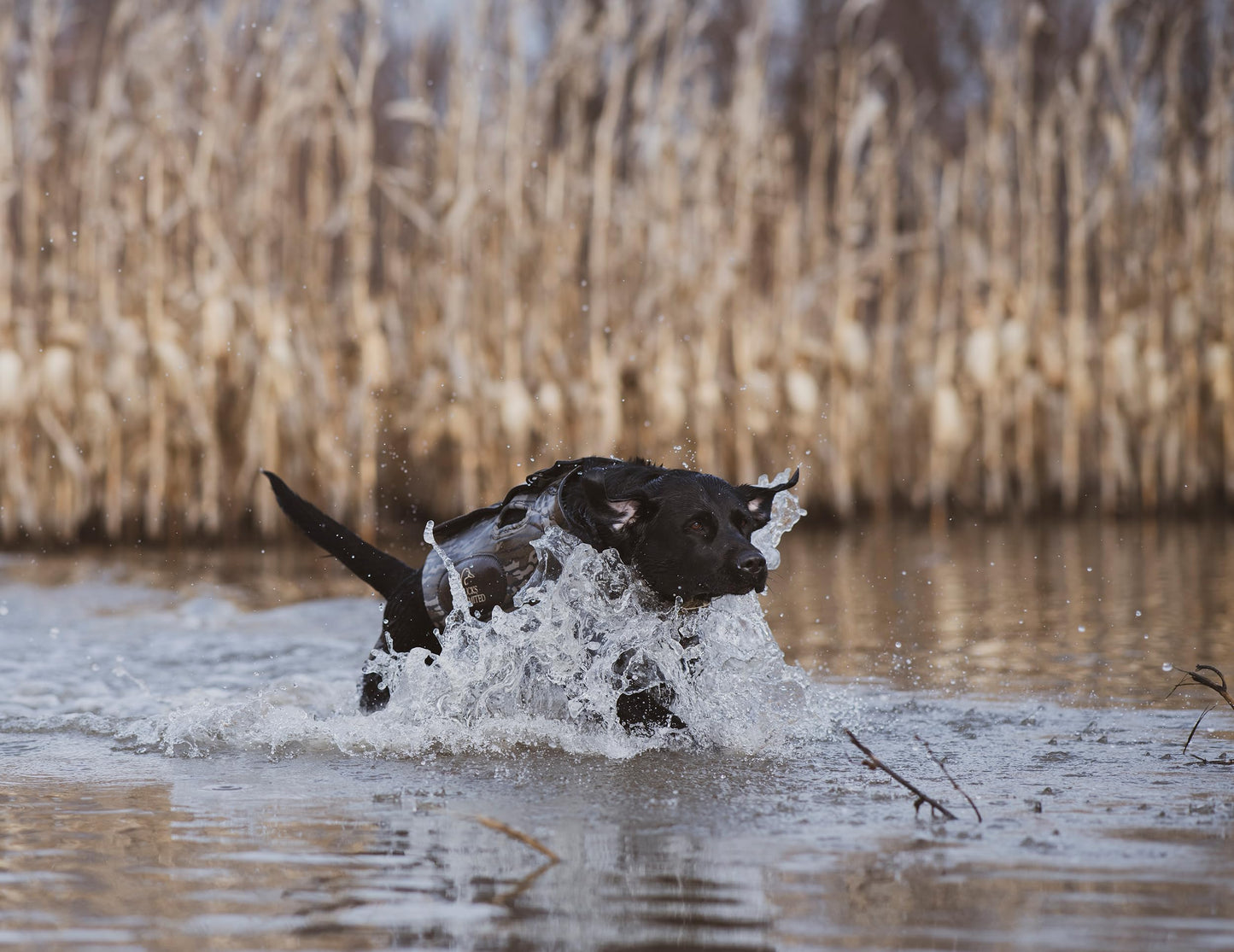 ALPS OutdoorZ Ducks Unlimited Topflight Dog Vest, XL - Mossy Oak Original Bottomland