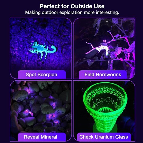 ESCO LITE Escolite UV Flashlight Black Light, 51 LED 395 nM Ultraviolet Blacklight Detector for Dog Urine, Pet Stains and Bed Bug