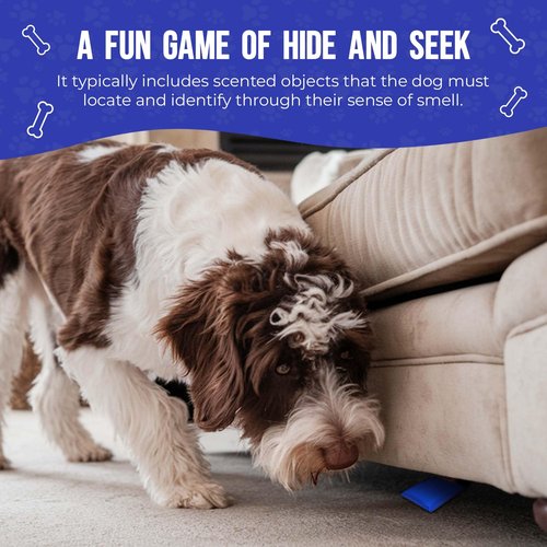 Ultimate Dog Scent Training Kit Metal Box - Enrichment Puzzle Toy for Dogs, Dog Training Tools & Behavior Aids, Scent Work Training for Dogs, Agility Training Equipment for Dogs, Puppy Training Tools