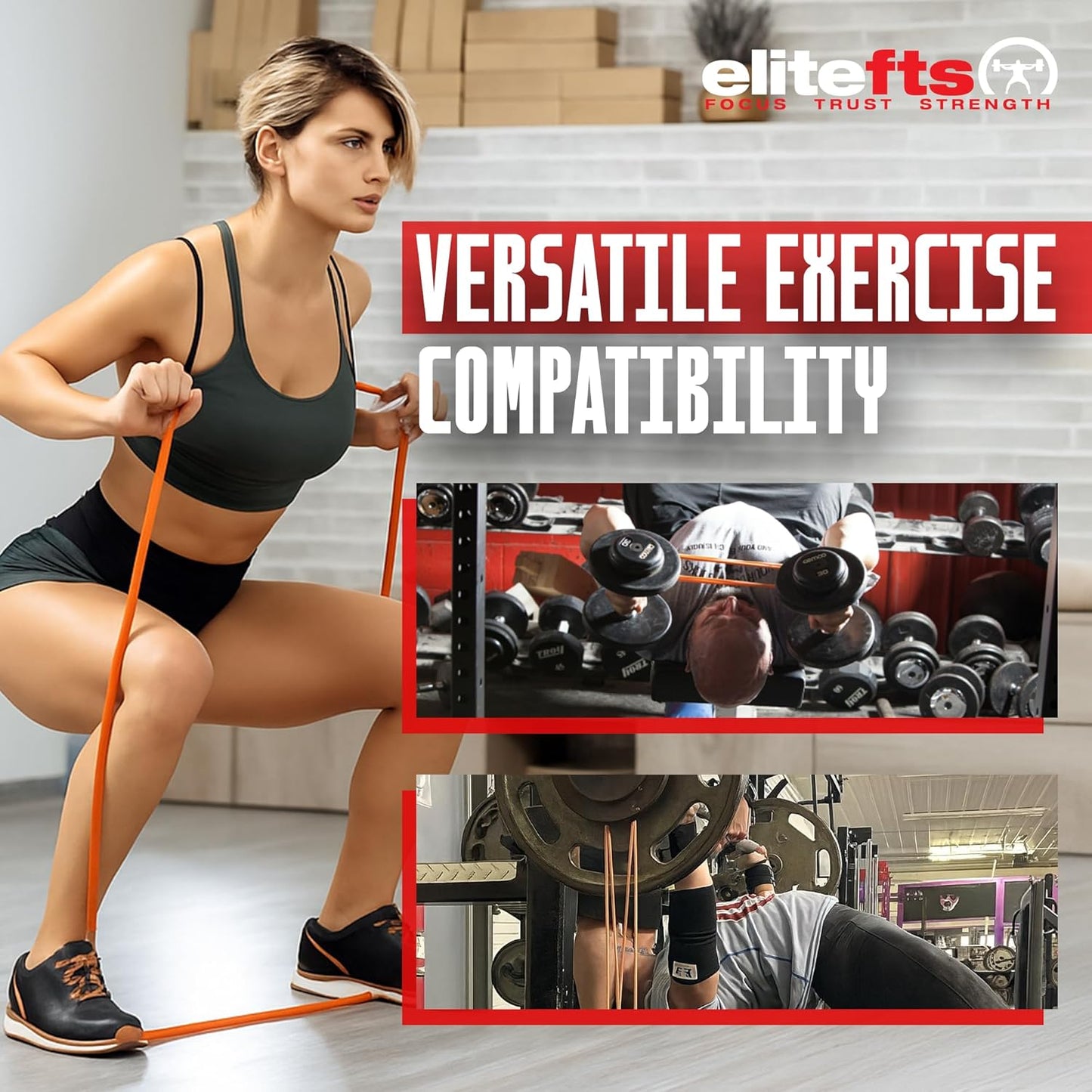 Pro Resistance Band for Core Stability & Flexibility - EliteFTS Portable & Joint-Friendly