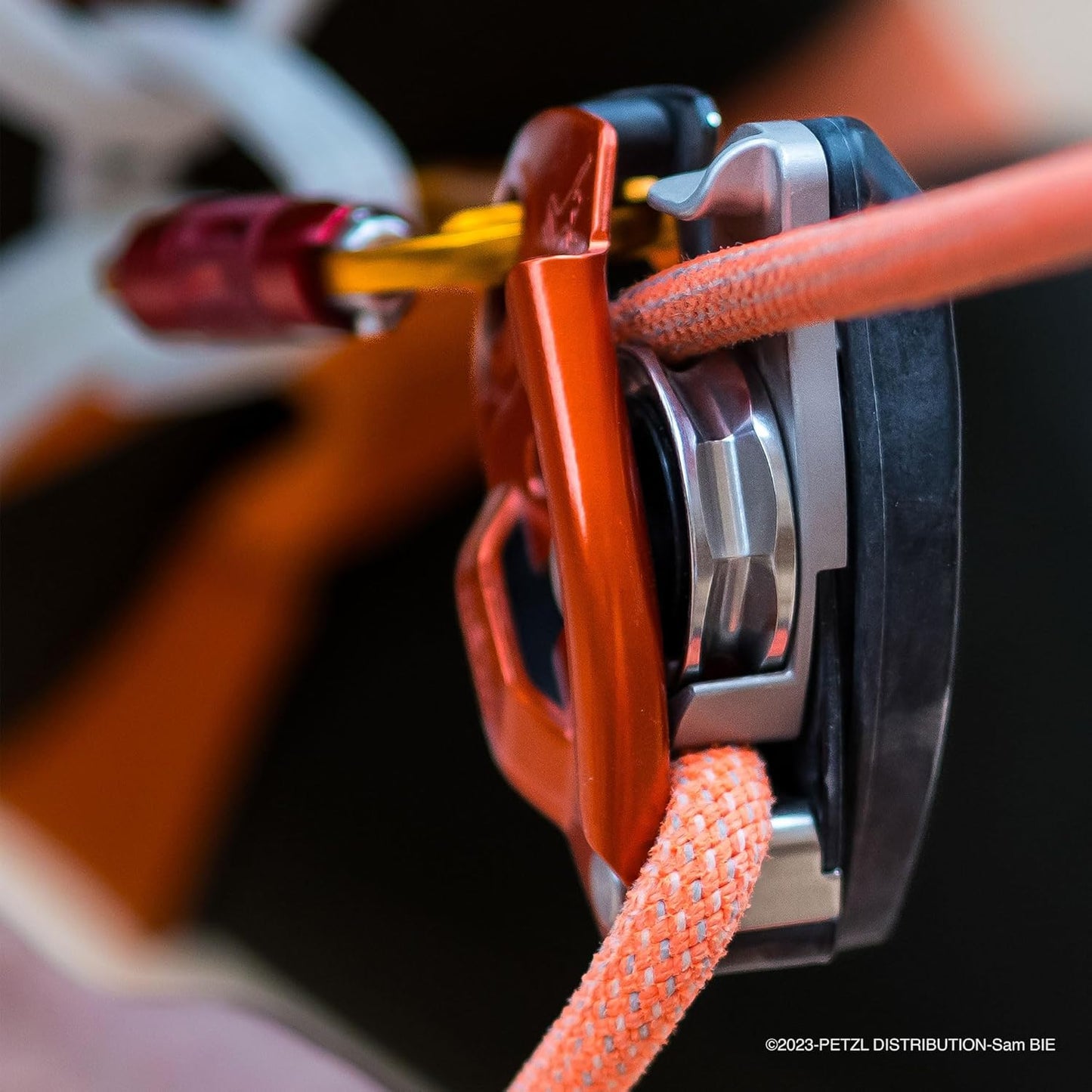 Petzl Sm'D Carabiner - Versatile, Lightweight, Compact, D-Shaped Locking Carabiner for Rock and Ice Climbing