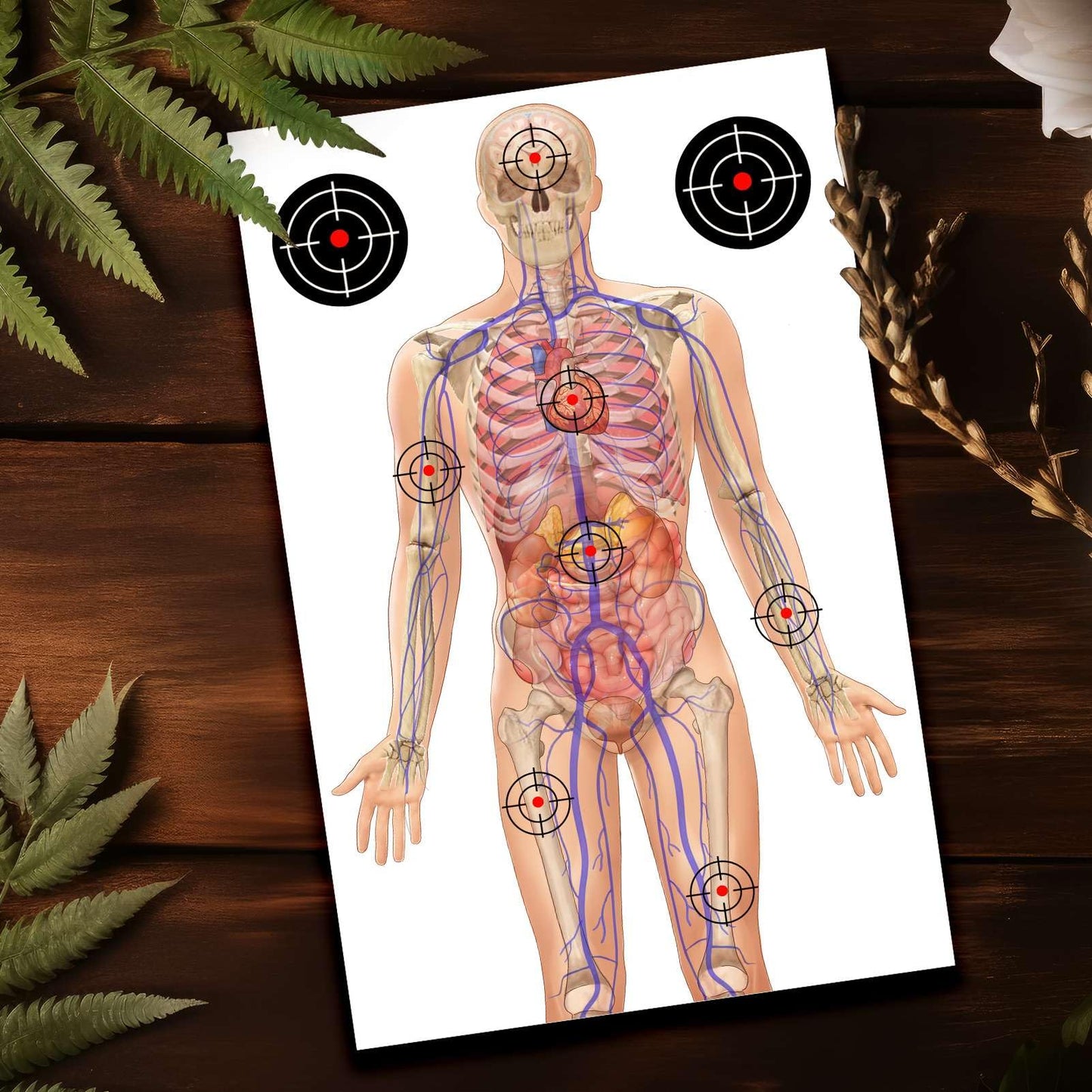 50 PCS 23 x 35’’ Silhouette Paper Targets Human Silhouette Target Anatomical Targets Medically Designed Targets Life Size Human Paper Targets Range Anatomical Target for Practice