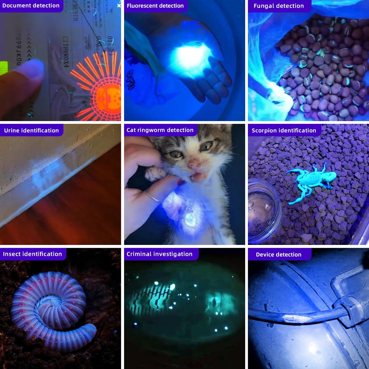 LIGHTFE UV305 High-Power UV Flashlight USB Rechargeable, Used for Hunting Ore, Scorpion and UV Glue Curing, Checking Pet Urine Stains, Identifying Currency, Official Anti-Counterfeiting Documents…
