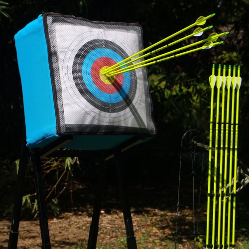 BOWSOUL Carbon Arrow Archery 30inch Bright Colors Hunting Target Practice Arrows for Compound & Recurve Bow Spine 500 with Removable Tips (Pack of 12) (Bright Yellow)