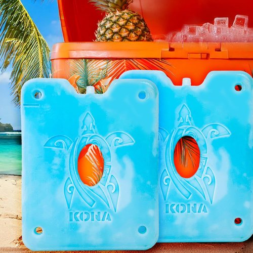Kona Large Reusable Ice Packs for Coolers – Turtle Design for Long-Lasting Cold, Freezer Packs, Ice Packs Cooler – Ideal for Camping, Travel, and Lunchboxes (Set of 2)