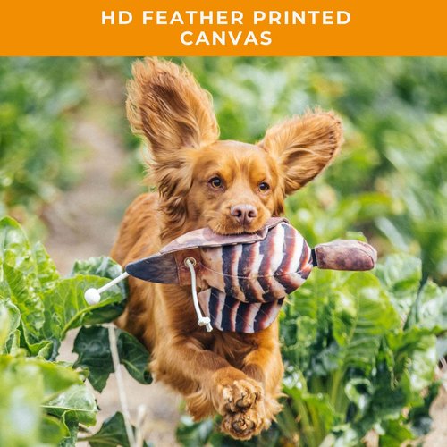 The Original Clone® Realistic Game Bird Dog Training Dummy - Canvas Dummy with HD Feather Print for Gundog & Puppy Training - Dog Hunting Equipment (Grouse Dead Bird Dummy)