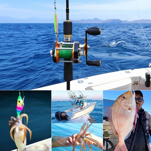 Sougayilang Slow Pitch Jigging Rod, 40 Ton Carbon Fiber Blank, 2-Piece Casting Rod for Snapper, Grouper ，Tuna，Hairtail and Spanish Mackerel