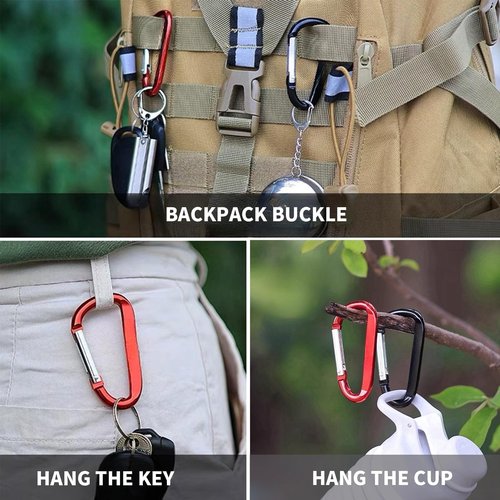 Linsaner Carabiner Clips, Carabiner for Keys, Pets Leash Harness, Camping, Keychain Accessories, Small Durable (A1-Silvery)
