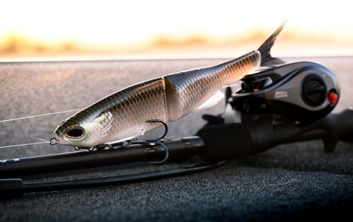 Berkley PowerBait® Nessie Glide Bait, Raw, 5 in, Fishing Bait with Irresistible Flavor, Soft Swimbait Ideal for Bass Fishing, Equipped with Fusion19 Hook
