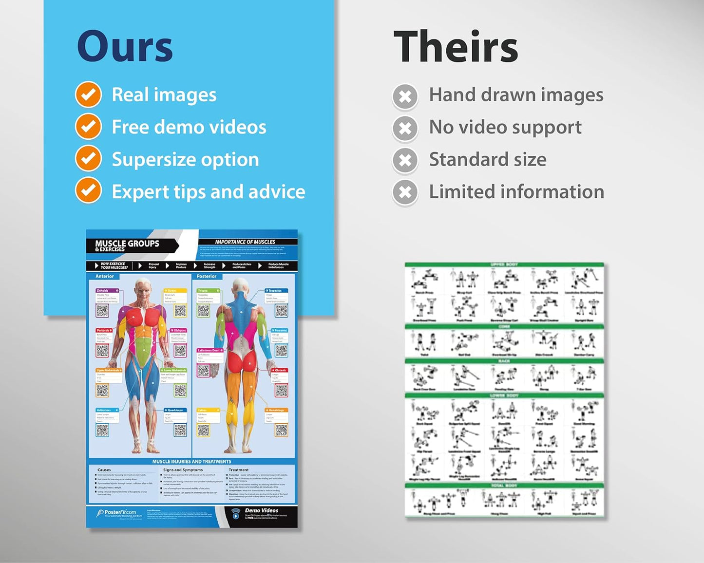 Muscle Group Workout Posters Set | Laminated Home Gym Exercise Charts 33” x 23.5” | Free Video Training Support
