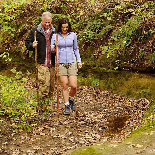 Lightweight Wooden Trekking Pole for Hiking - 48 Inch Handcrafted Hiking Stick for Men & Women - Made in USA, Brown Oak
