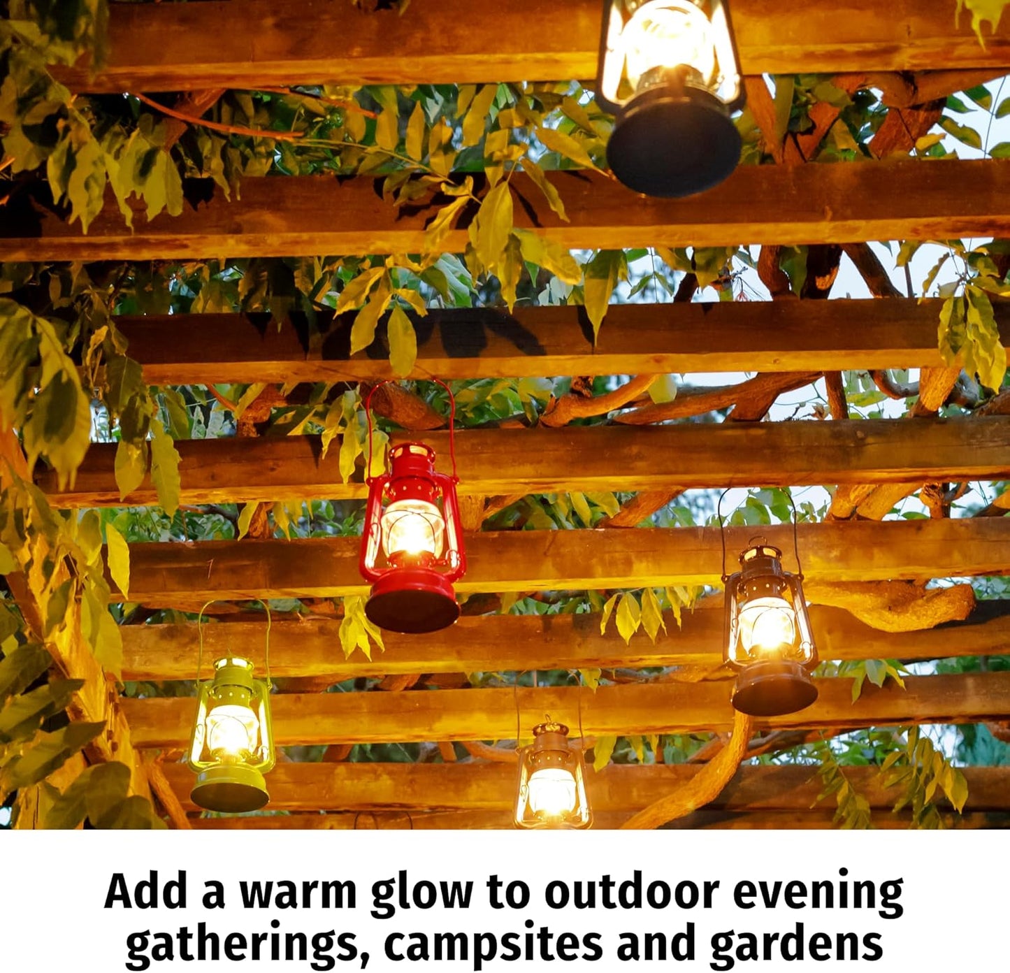 Outdoor Kerosene Fuel Lantern, German Made Weather Resistant Baby Special 276 Galvanized Hurricane Lamp for Camping or Patio, 10 Inches, Bronze