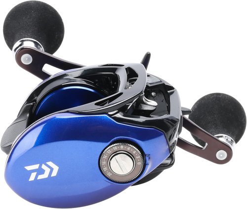 Coastal TW Casting Reel by Daiwa - High-Performance Fishing Gear for Anglers