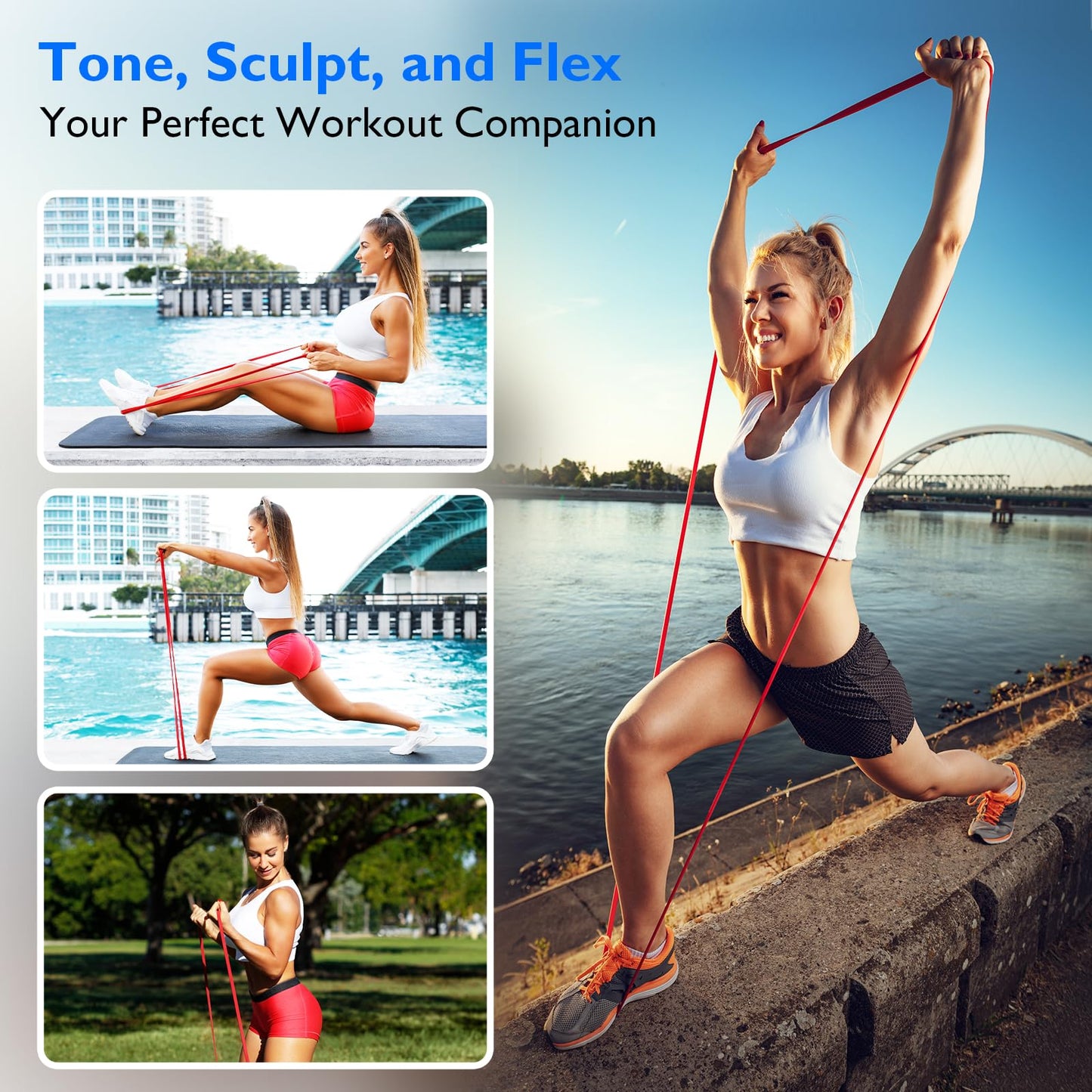 FitBeast Resistance Bands Set, 5 Different Levels, Pull Up Assist Bands for Strength Training, Crossfit, Powerlifting, Muscle Toning, Mobility Exercises, Full-Body Workout (Vibrant 5-125 lbs)