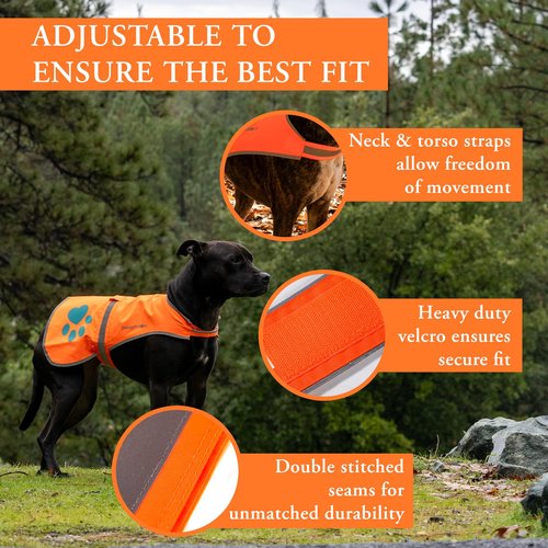 SafetyPUP XD Blaze Orange, Reflective Dog Vest & Bandana (Medium). Safety Gear to Help Prevent Hunting & Motorist Accidents.