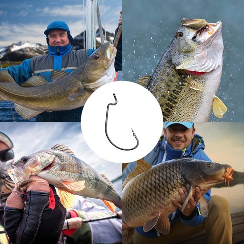 UCEC Fishing Hooks, 140PCS EWG Offset Worm Hooks Bass Hooks Wide Gap 2X Strong Senko Bait Texas Rig Jig Fish Hooks for Bass Trout Saltwater Freshwater Size:#4#2#1 1/0 2/0 3/0 4/0 5/0