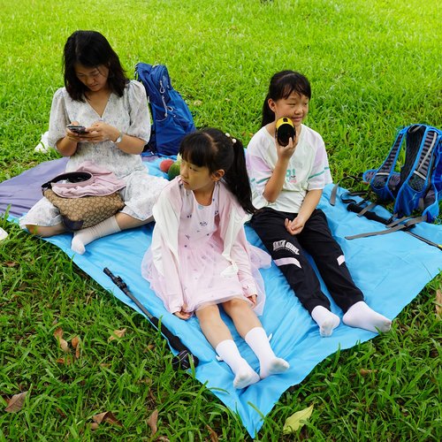 RLXMARTD Picnic Blanket Portable,Outdoor Mini Pocket Beach Mat,200 * 140cm,Waterproof, Sand Proof, Machine Washable,Multipurpose Rugs for Camping,Travel, Park, Beach, Garden, Family Gathering