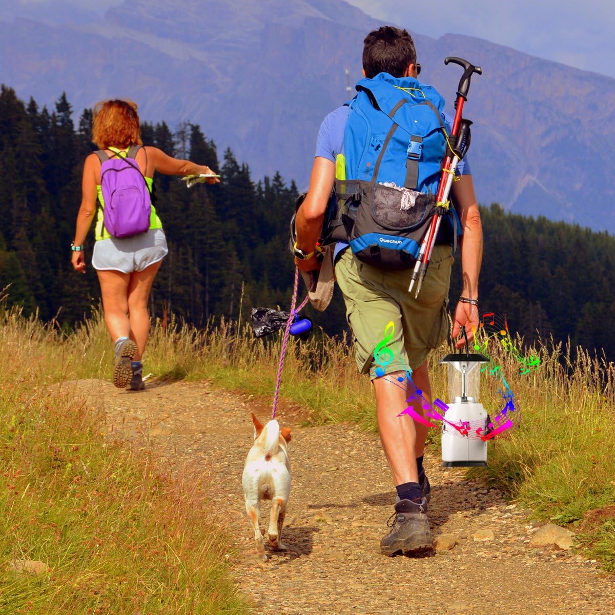 HOSHINE Solar Dynamo Multi-Functional 4-Way Powered Emergency Hand Crank FM Radio LED Camping Lantern Flashlight Phones Charger (White)