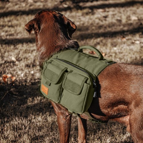 OneTigris Dog Hiking Backpack, Dog Pack for Medium Large Dogs, HOPPY CAMPER 3.0 Dog Saddle Bag Harness Outdoor Hiking (M, Green)