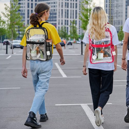 Silkfly 48 Pack Clear Backpacks Bulk PVC Transparent Bookbags Heavy Duty See Through Bags with Pockets for Stadium Work Travel(15 x 11 x 5.2 Inches)