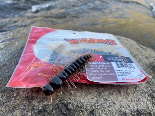 Yum Lures Hellgrammite - 3" Copper Creek - 8 Pack - Ned Style Plastic Lure - Bass, Smallmouth Bass, Trout, Panfish