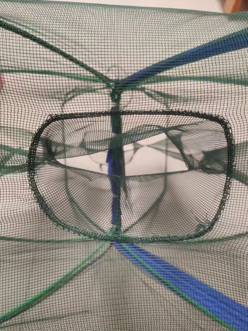 Grinmood Minnow Trap 6 Hole Portable Folding Umbrella Fishing Net Trap PE mesh Iron Frame Crab Pots with Floating Ring and Rope for Catching Live Bait Fish Crawfish Shrimp Trout Crab