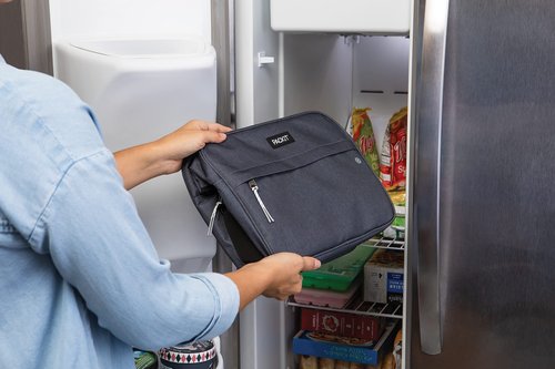 PackIt Freezable Coolers and Grocery Bag Bundle