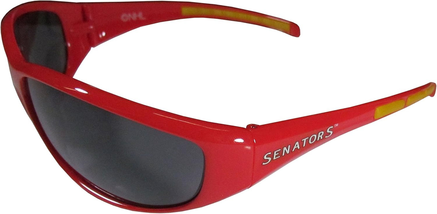 Siskiyou Wrap Sunglasses