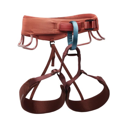Women's Momentum Climbing Harness by Black Diamond