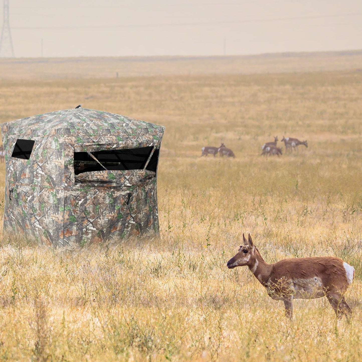 HUNTSEN Hunting Blind 270° See Through 2-3 Person Ground Blind Pop Up Hunting Tent with Carring Bag - Portable Durable for Turkey and Deer Tent