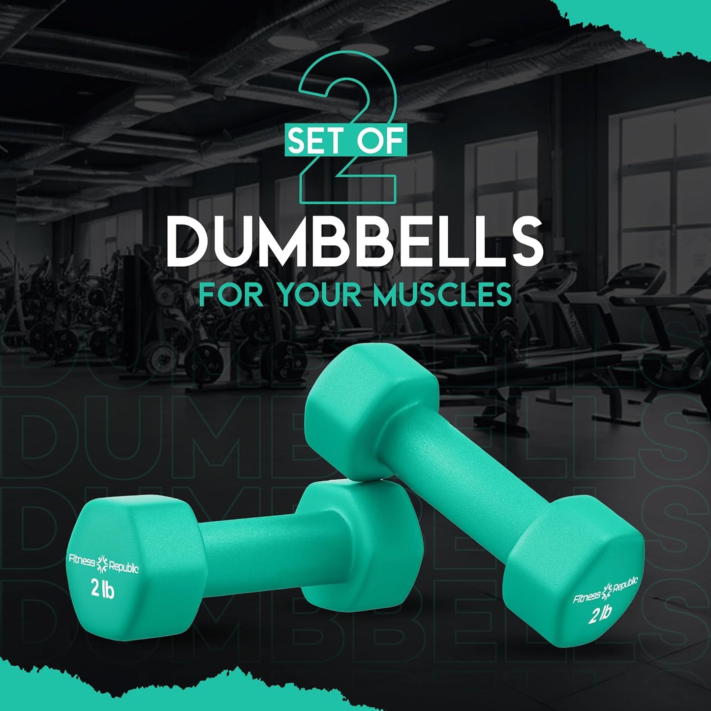 Neoprene Dumbbell Set of 2, Non-Slip, Hex Shape, Free Weights for Muscle Toning and Strength Building - Portable Home Gym Hand Weights