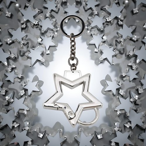 Silver Star Shaped Stainless Steel Keychain Clip Carabiner Snap Hook Holder Star Carabiner Hook Clip Keychain Carabiners for Keys and Wallet Accessory with Key Chain Rings（with Loop Hook）