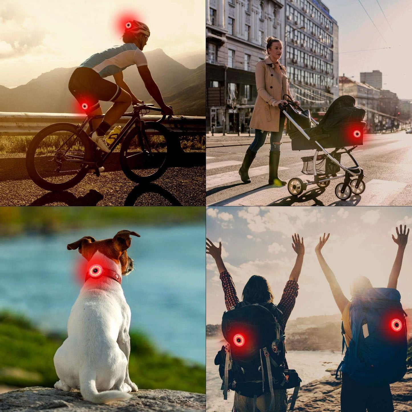 Rear Bike Light 90hrs Autonomy - Bike Lights Compact Size, IP65 Waterproof, USB C Rechargeable, Quick Release Mounts for Saddle & Seatpost, with 5 Steady Flash Modes, DON PEREGRINO M2 Bicycle Lights