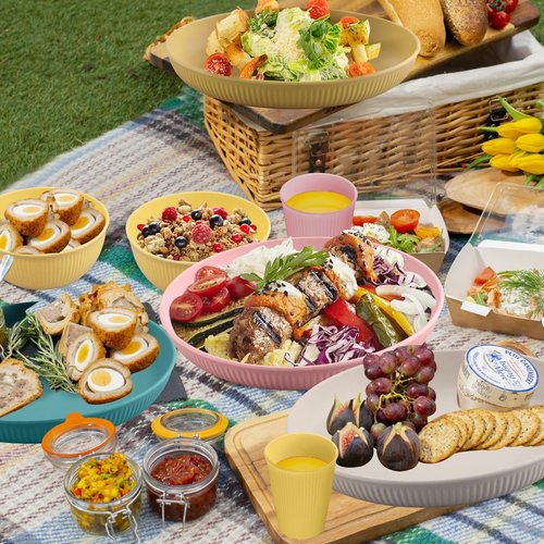 Tanice Plastic Dinnerware Set, 12PCS Outdoor Plates and Bowls Sets, Kids Dinnerware Set for 4, Plastic Dishes Set with Pltaes, Bowls, Cups for Kitchen, Outdoor Camping