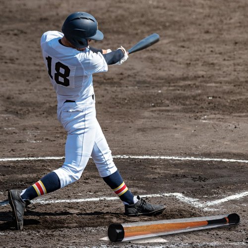 Pangda Baseball Bat Display Case 36 Inches Protected Plastic Baseball Bat Display Tube Box for Desk Wall