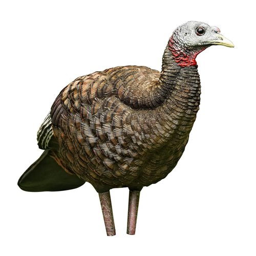 AVIAN-X LCD Feeder Hen AVX8007 & Breeder Hen AVX8008 Turkey Decoys | Realistic Lifelike Collapsible Standing Hunting Decoys with Carry Bag & Stake